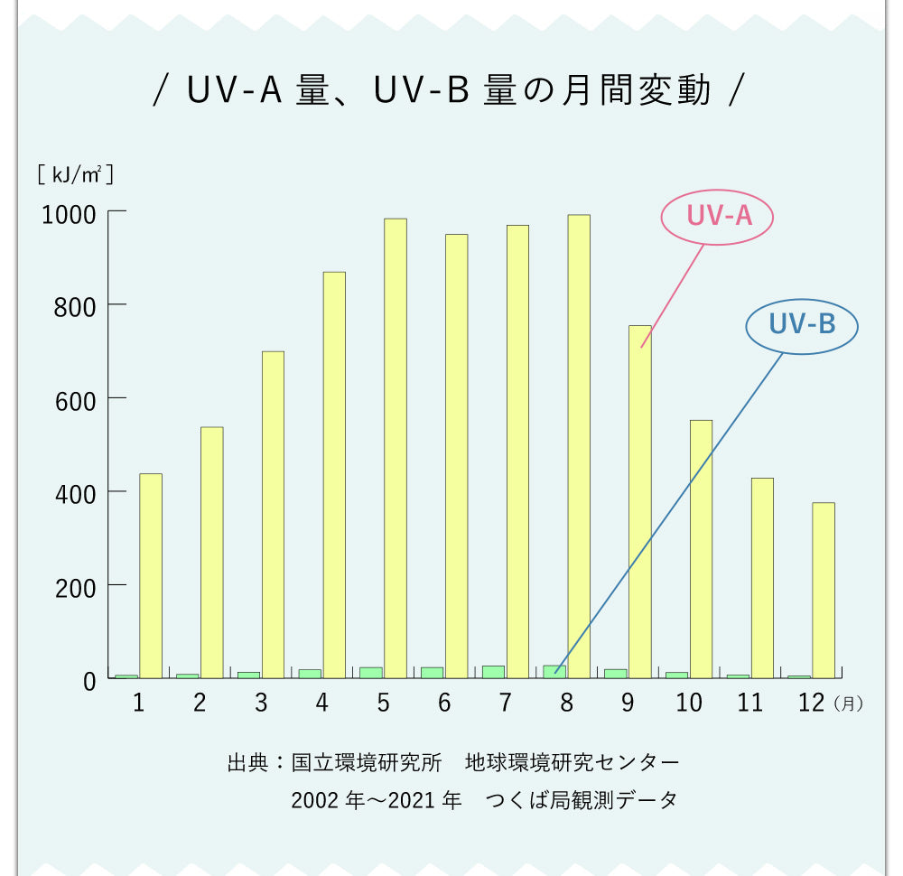 UV-A量、UV-B量の月間変動